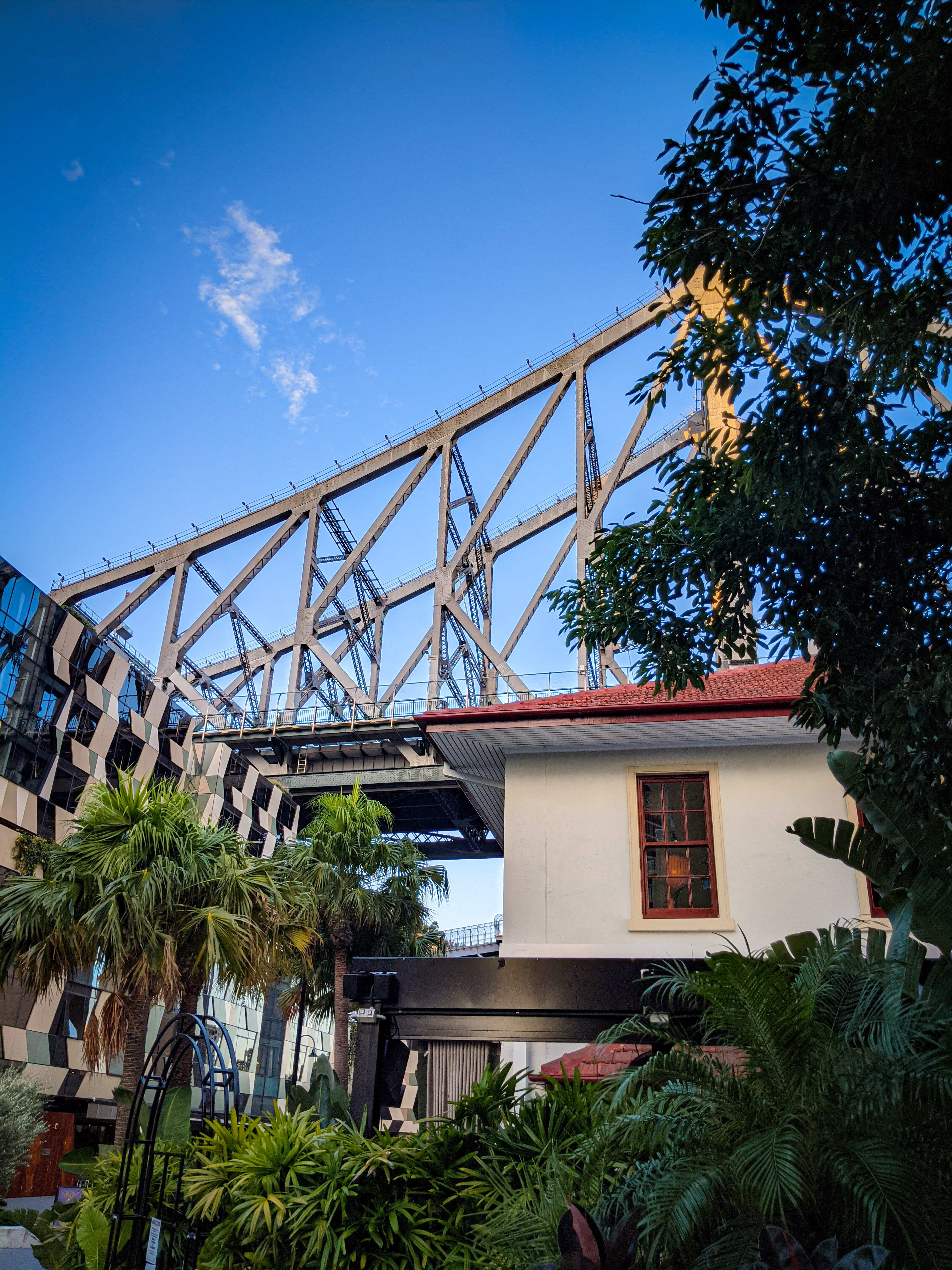 The subtropical landscaping of the Howard Smith Wharves Precinct